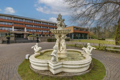 Fletcher Wellness-Hotel De Hunzebergen