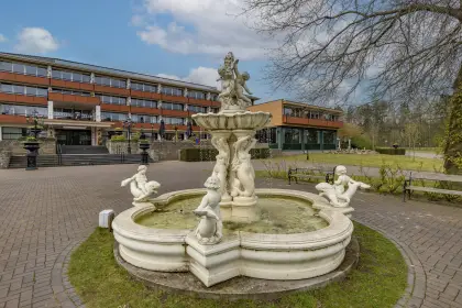 Fletcher Wellness-Hotel De Hunzebergen