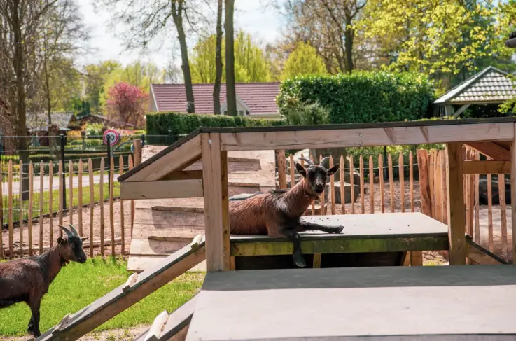 Kinderboerderij
