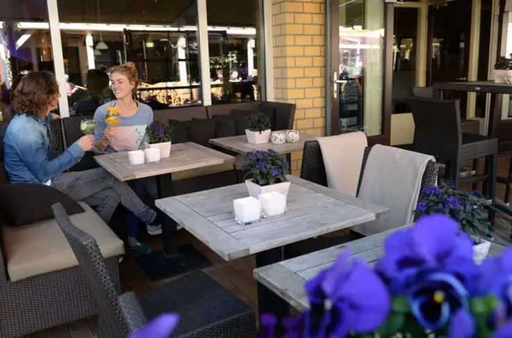 Terras