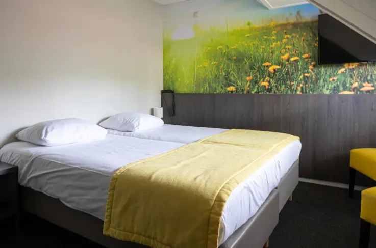 Budgetkamer
