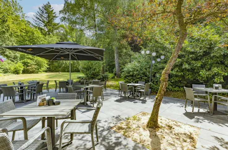 Terras