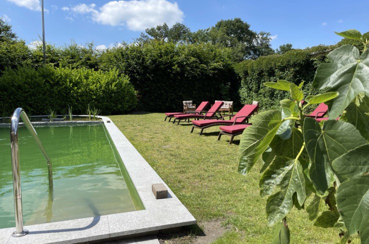 Ligweide met zwembad