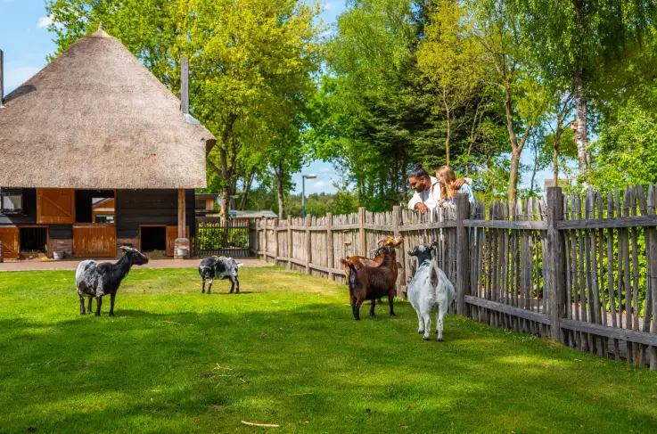 Kinderboerderij