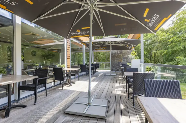 Terras