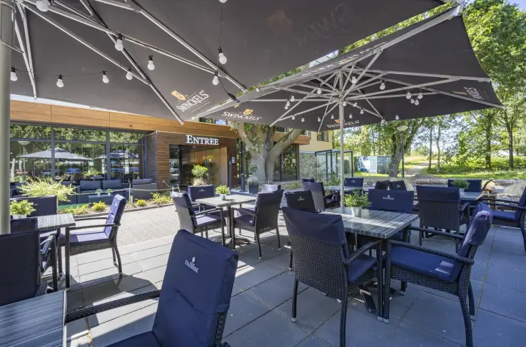 Terras