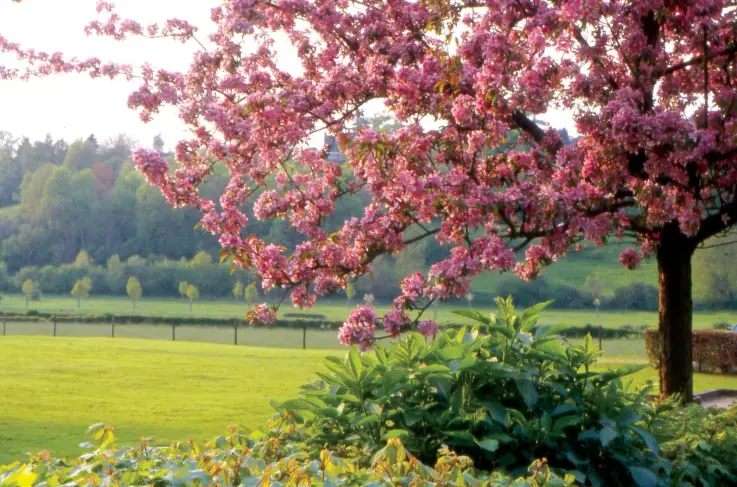 Algemeen omgeving