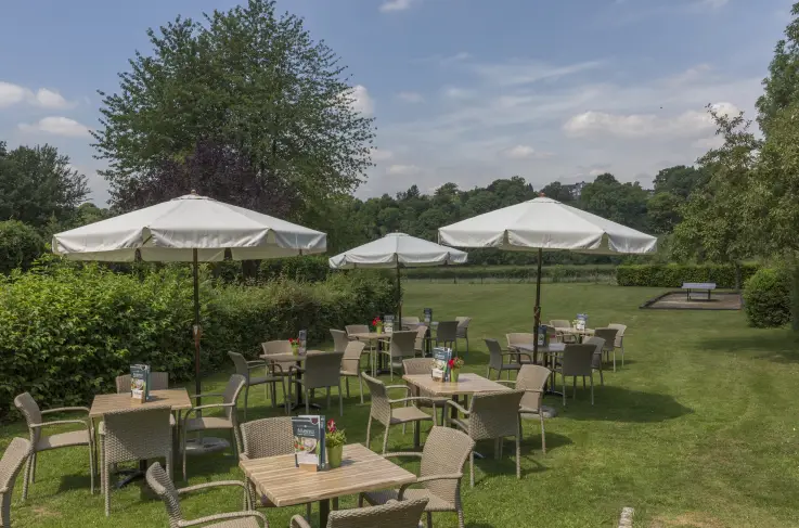 Terras
