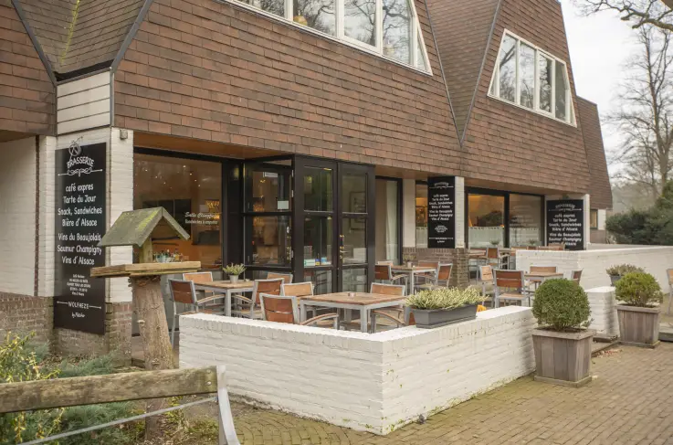 Terras
