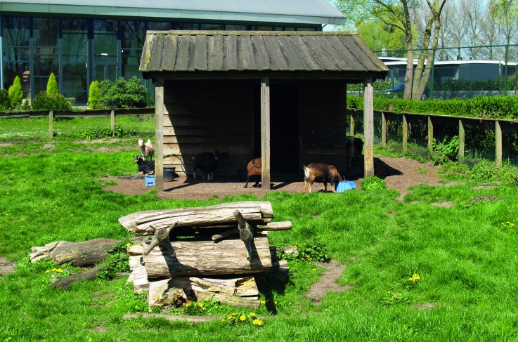 Kinderboerderij