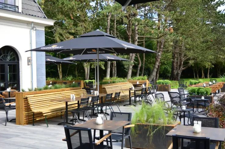 Terras