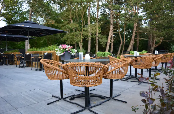 Terras