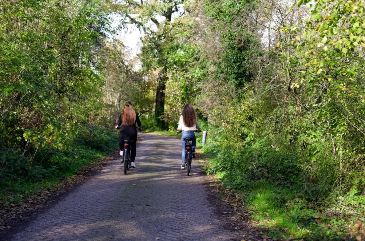 Fietsverhuur