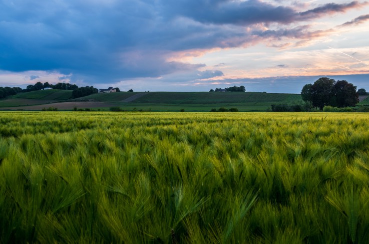 Heuvelland bij Maastricht