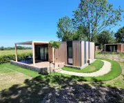 Domus 4 2