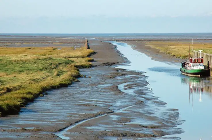 Omgeving