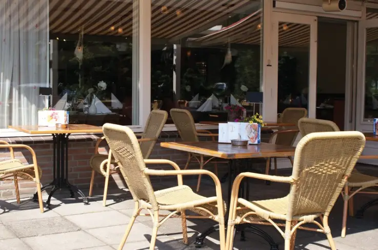 Terras