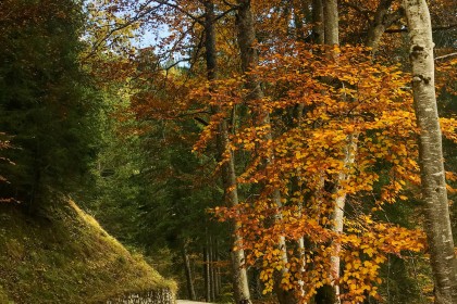 Veluwe Hotel De Beyaerd