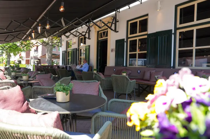 Terras