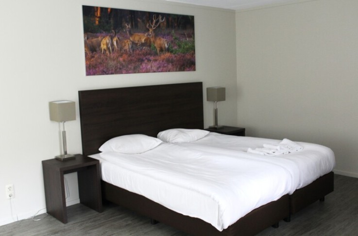 Comfort Plus Tweepersoonskamer