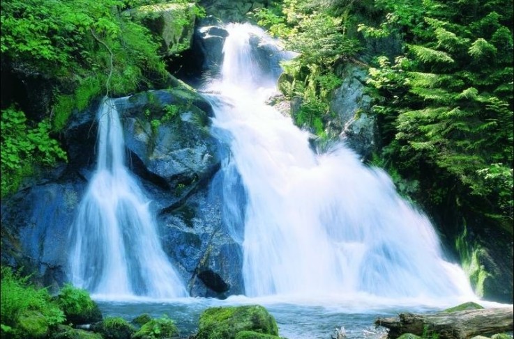 Omgevingsfoto Triberg Watervallen