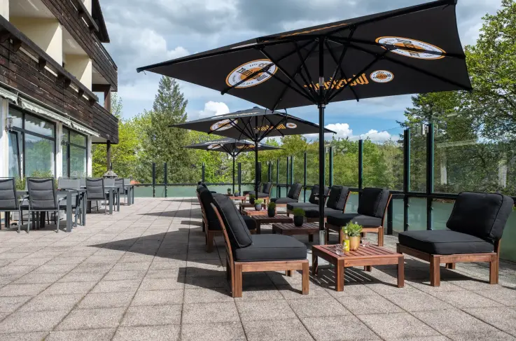 Terras
