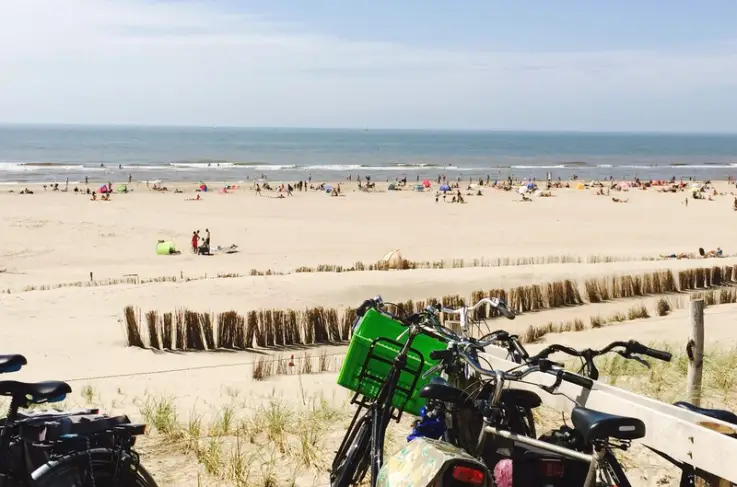 Omgeving strand