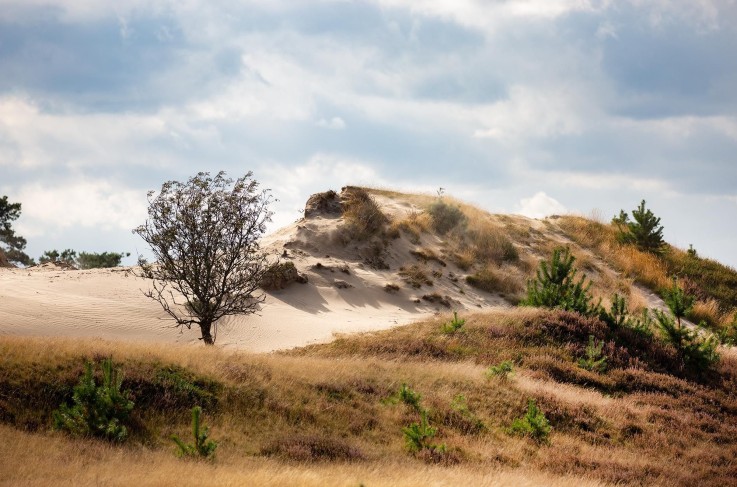 Omgevingsfoto wandelroutes