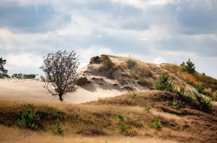 Omgevingsfoto wandelroutes