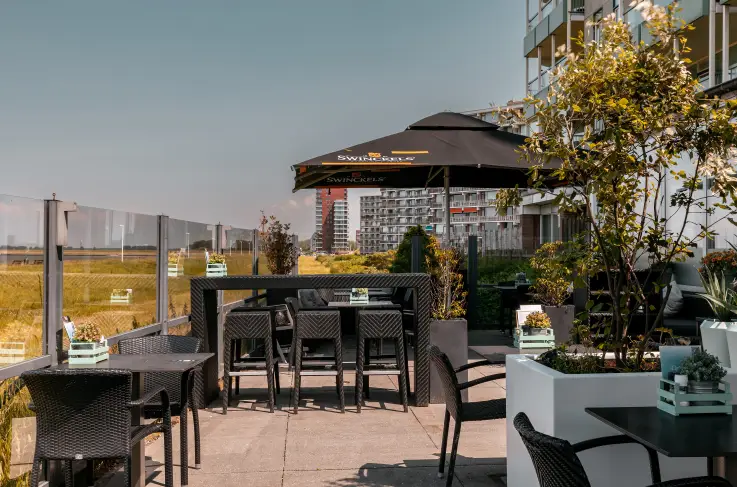 Terras