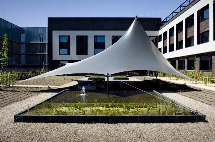 Daktuin
