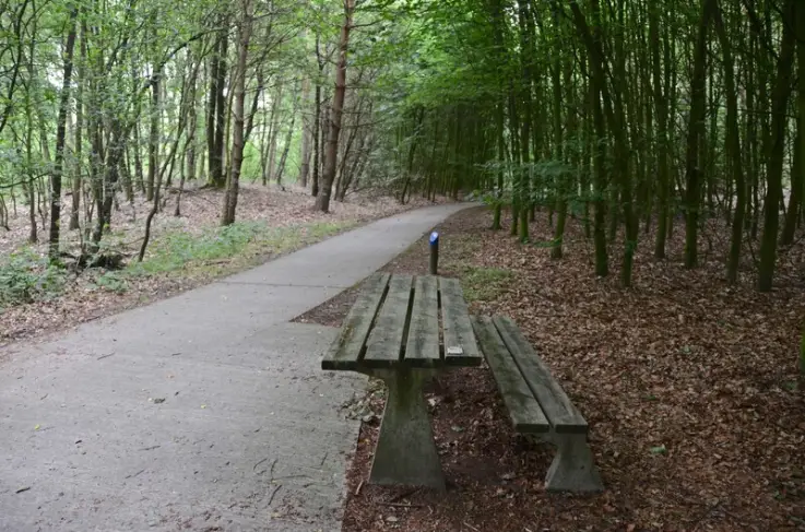 Omgeving