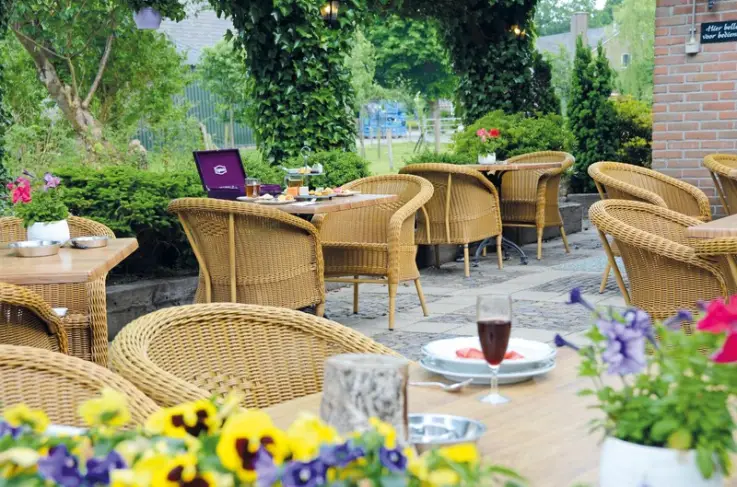Terras