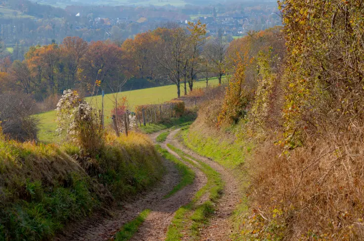 Algemeen Limburg