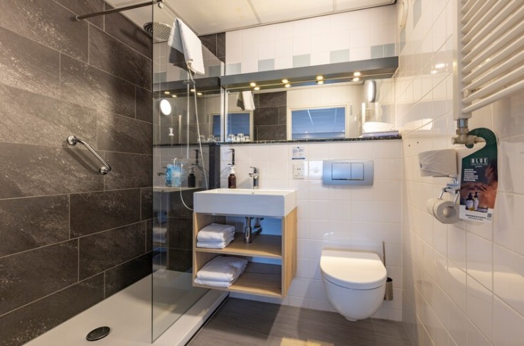 Comfort tweepersoonskamer badkamer