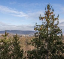 Fletcher Hotel-Restaurant Arnsberg-Sauerland (Omgeving)