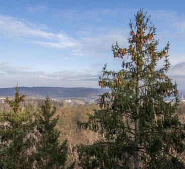 4* Fletcher Hotel-Restaurant Arnsberg-Sauerland