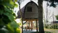 Treelodge 2
