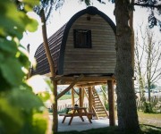 Treelodge 2
