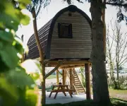 Treelodge 2