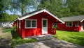 Cabin 5