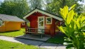 Cabin 4