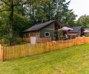 Dog Lodge 6