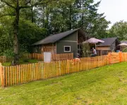 Dog Lodge 6