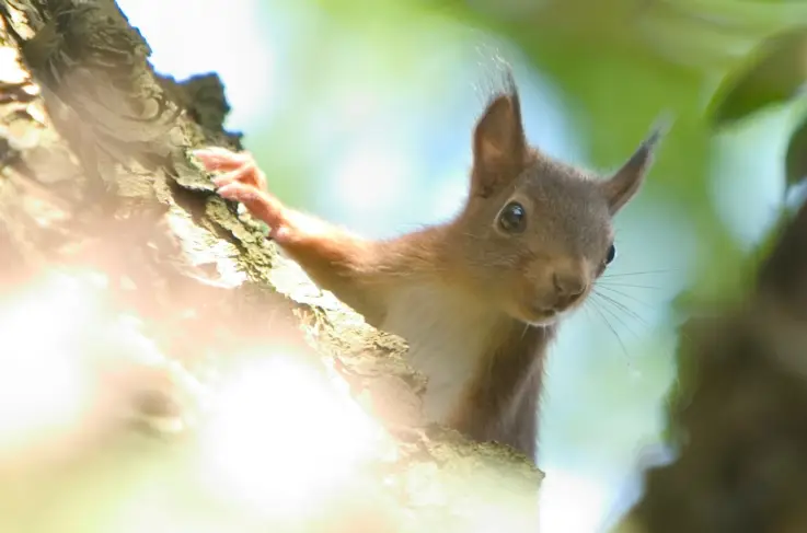 Algemeen omgeving