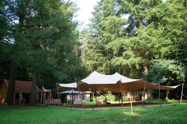 webimage-483372A3-79B6-4170-9F37A4E95FA92E56