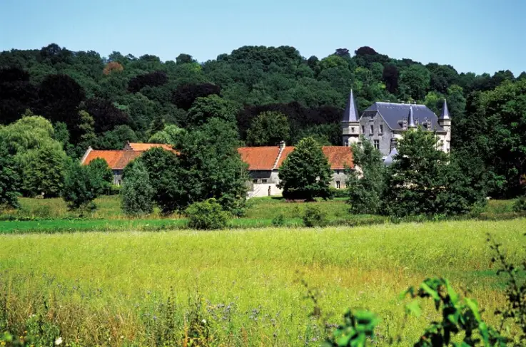 Omgeving