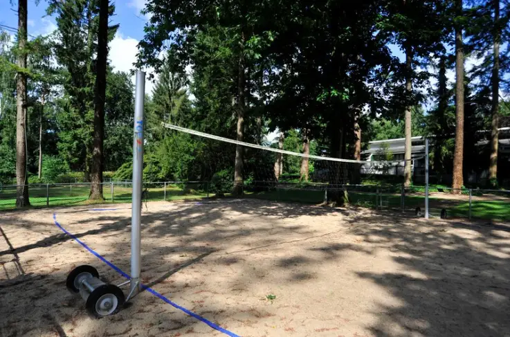Volleybal