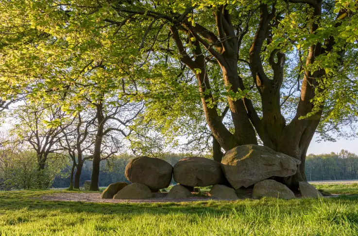 Hunebedden Drenthe