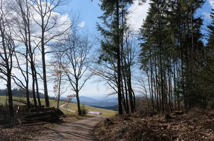 Omgevingsfoto